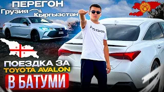 Поездка в Батуми за TOYOTA AVALON 🔥 | ПЕРЕГОН АВТО