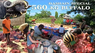 Best Buffalo Cutting in Nepal // Dashain Special 560 Kg Buffalos Cutting Skill in Nepali Village