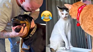 Funniest Animals 2023 🤣 - Funny Cats and Dogs 😹🐶  -Funny Animal Videos 😂#41