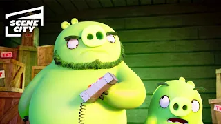 The Angry Birds Movie: The Pigs Arrive (FAMILY MOVIE HD CLIP)