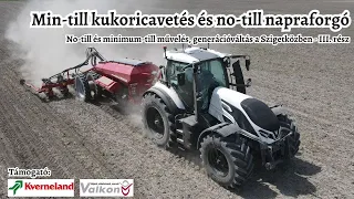 Min-till kukoricát vetettünk, no-till napraforgót szemléztünk - No-till és min-till Halásziban III.