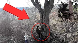 Drone Catches Man Climbing Devil's Tree (Near Clinton Road!)