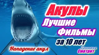 Акулы. Фильмы про акул. Лучшие фильмы про нападение акул. 8 фильмов за 10 лет