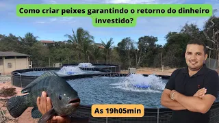 Como criar peixes garantindo o retorno do dinheiro investido