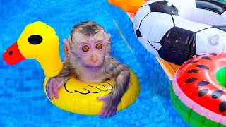 Monkey Baby Bin Bon go fishing and plays with Ducklings and puppy in the swimming pool