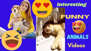 Funny animals best of 2023,Funny videos, funny 😄and, funny animals life, 😄funny pets 😄, funny dogs