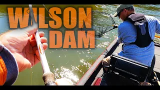 SURPRISE CATCH while FISHING Below Wilson Dam ! ! !