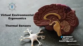 VEE Thermal Sensation & Integration