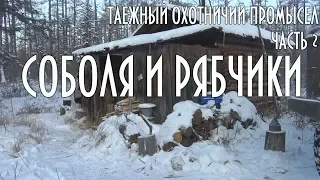 Соболя и рябчики, таежная добыча, таежный промысел, тайга Часть 2