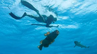 Spearfishing the Most Pristine Reef on Earth