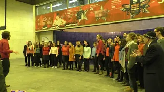 Pharrell Williams | Happy - by the Lisbon Community Choir