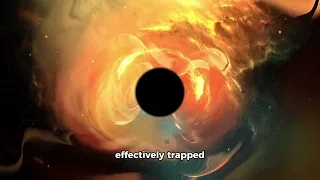 Black Holes