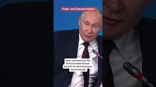 Putin redet über die Afd und Politik in Deutschland. #putin #afd #deutschland #politik