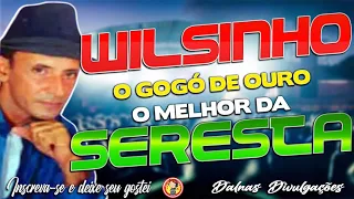 Wilsinho o Gogó de ouro - O Melhor da Seresta