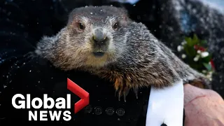 Groundhog Day 2022: Punxsutawney Phil predicts 6 more weeks of winter