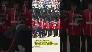 British Soldiers Faint In Front Of Prince William As London Scorches