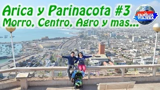 Morro de Arica, Colon 10, Centro, Agro y mas - Chile #10