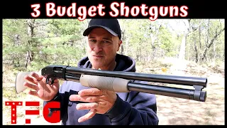 3 Budget Shotguns - TheFirearmGuy