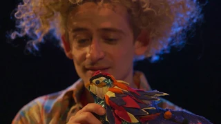 Fidget Theatre Bird's Nest Billy Trailer