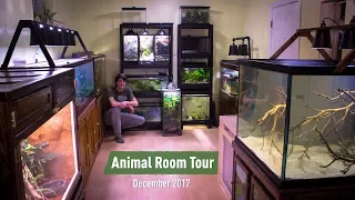Animal Room Tour Dec. 2017 (70+ Animals) - Updates & Sneak Peeks