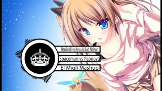 Hardwell vs Kevu & Bad Nelson - Spaceman vs Papooya (El Migli Mashup)