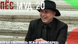 ПЁС муд 20