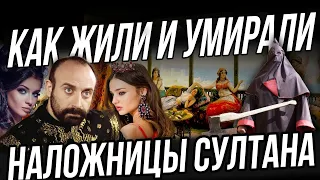 НАСТОЯЩИЕ ЖЕНЫ  султана Сулеймана / историки  Великолепный век