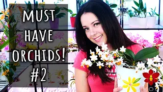 10 Amazing Orchids you should have! #2 - The Bonsai Orchid, my favourite Cattleya & more!