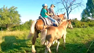 GOING FOR A RIDE WITH LADY & BREE // Riding Draft Horses #525