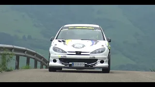 Pablo Fuente - Eva Bernardos | Rallysprint de Cieza 2021 | Peugeot 206 Xs