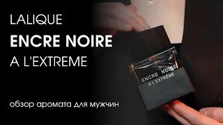 LALIQUE encre noire a l'extreme | Обзор мужского бюджетного аромата | Стоит ли покупать?