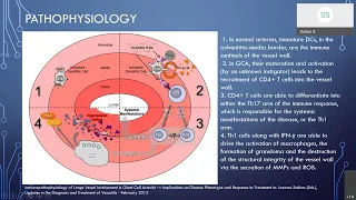 Vasculitis and Other Uncommon Ateriopathies