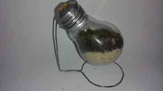 Как сделать вечный террариум  How to make an eternal terrarium