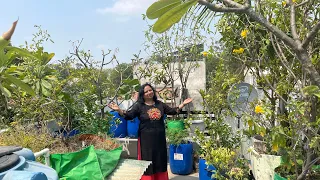 इनकी छत पर है फलों के पौधों की भरमार 😯 सारे पौधे 8-12 फुट लंबे 😮 Fruit Garden of Lucknow