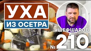 УХА ИЗ ОСЕТРА. РЫБНЫЙ СУП.