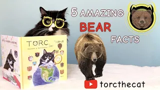 TORC the CAT Presents: 5 Amazing Facts About Grizzly Bears!