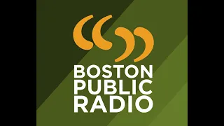 Boston Public Radio Covers 'On the Edge' Exhibit