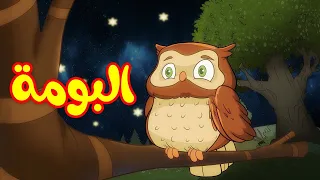 البومة - قناة بلبل BulBul TV