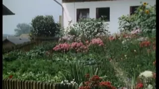 Grün kaputt (Dieter Wieland, 1983)