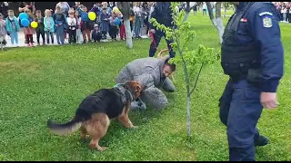 M.A.I. aproape de copii cu ocazia zilei de 1 iunie!