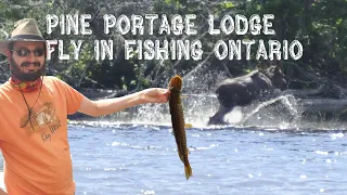 Pine Portage Lodge Fly in Fishing Algoma Ontario