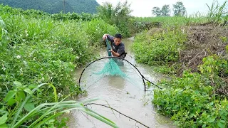 一夜大雨引发洪水，阿琪扛着大抄网去捞鱼，这收获太棒了【农村阿琪】