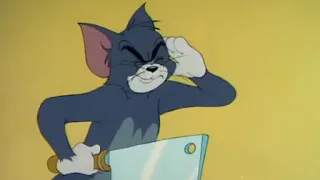 Tom and Jerry - Jerry's Diary (Part 1)