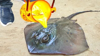 Experiment: Lava vs Stingray | Worlds Most Expensive Stingray Meets 2000 Degree Lava