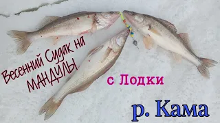 ЗА ВЕСЕННИМ СУДАКОМ;НА МАНДУЛЫ С ЛОДКИ;РЕКА КАМА #раздача судака#весенний судак#мандула#