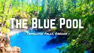 Hiking to the BLUE POOL / Tamolitch Falls, Oregon / WARNING: DIVING IN IS DANGEROUS! DO NOT ATTEMPT!