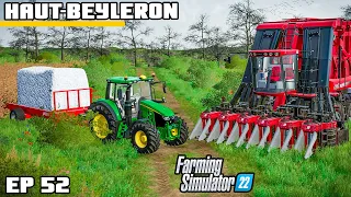 LAST MINUTE COTTON BEFORE CHRISTMAS! | Farming Simulator 22 - Haut-Beyleron | Episode 52