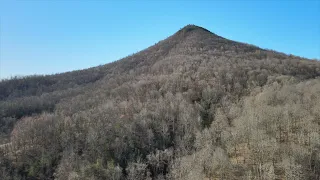 Acreage tract on Blue Grass Trail (old Deacon Homestead)