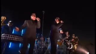 Diamond Jubilee 2012 Live Concert - Madness - It Must be love