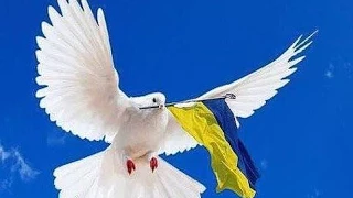 Поздравление своих защитников народом Украины (хорошее качество)!
